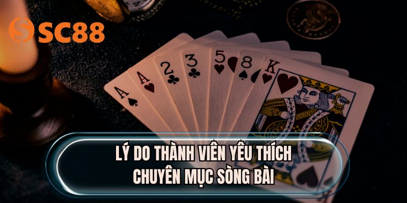 Lý do thành viên yêu thích chuyên mục sòng bài