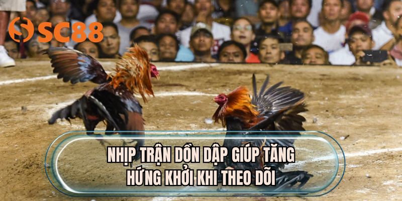 Nhịp trận dồn dập giúp tăng hứng khởi khi theo dõi